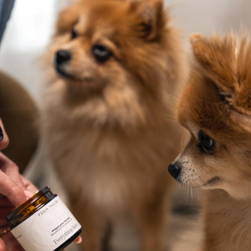 Zoe en Luna Pet Tallow Ambassadeurs Hond